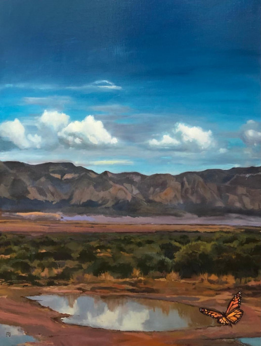 SCAPE Collection-after the rain