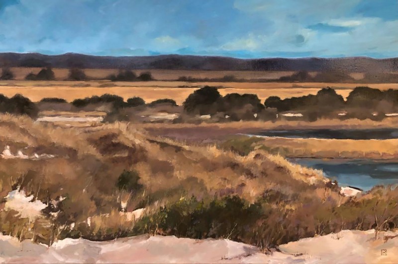 SCAPE Collection-a bank of grasses